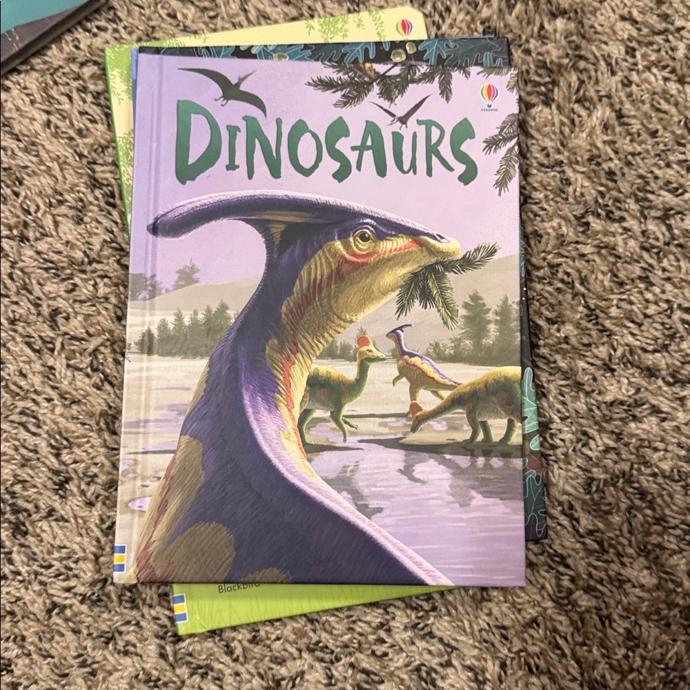 Children's Book Collection - Picture 2 of 11